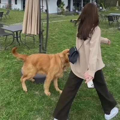 玩转全家福